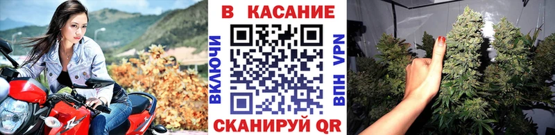 Наркошоп Снежногорск Alpha PVP  Экстази  mega как войти  Кокаин  ГАШ  Бошки Шишки 
