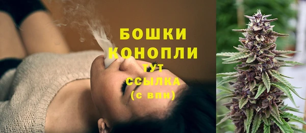 стаф Семилуки