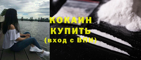 стаф Семилуки