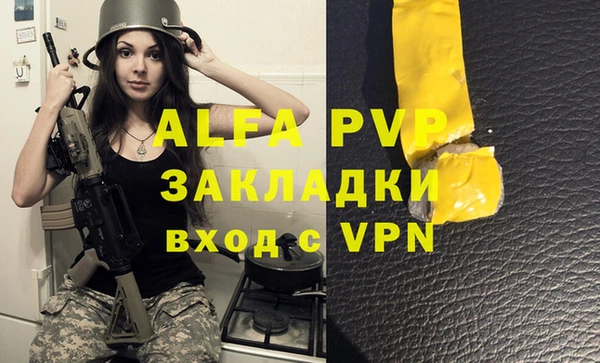 стаф Семилуки