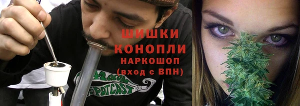 стаф Семилуки