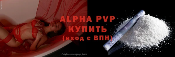 стаф Семилуки
