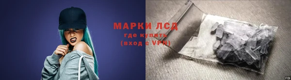 стаф Семилуки