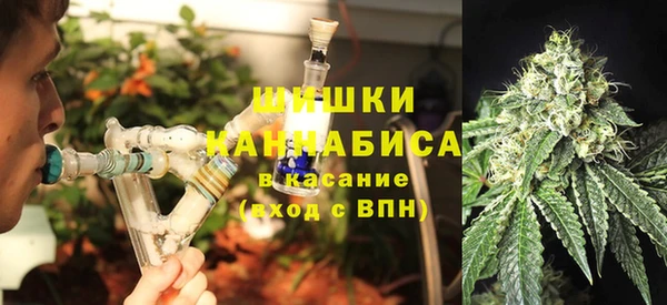 трава Снежинск