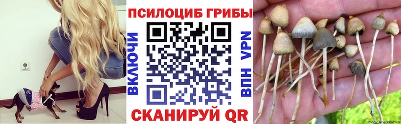 Псилоцибиновые грибы прущие грибы  Снежногорск 